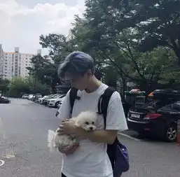 头像和喜欢的一切保持距离