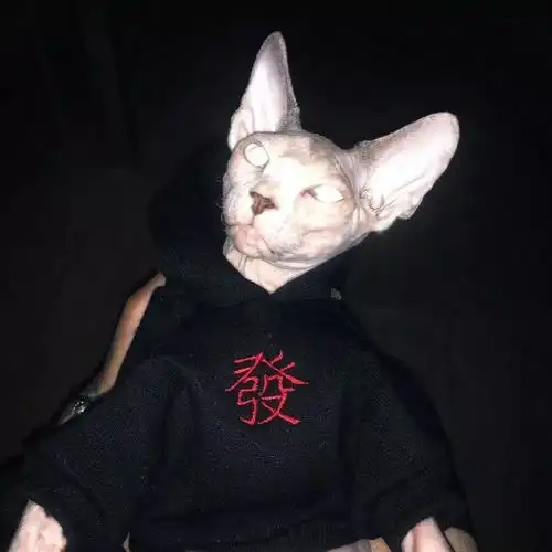 今日头像男生女生头像