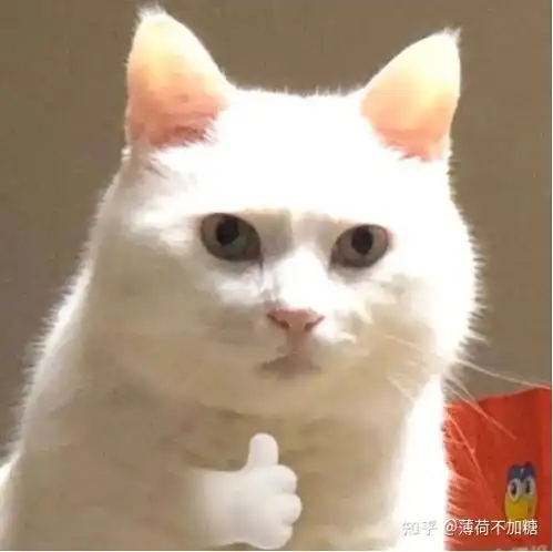 如何评价5299元起售的戴尔成就135310,值得买吗