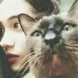 谁帮我找另一张情侣头像