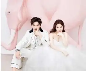 明明不是情侣,偏偏也拍了结婚照的明星,哪一对最有cp感