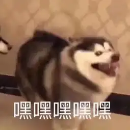 绿植领养绿动理工,植因有你