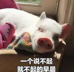 震惊这周日开学