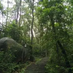 测试一个超长简介的文章