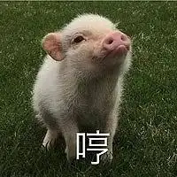 2017年度表情包大赏,2018斗图从此不输