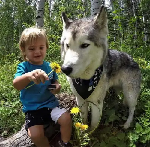 测试一个超长简介的文章