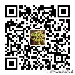 微信小程序头像怎么改变形状微信官方,圣诞帽头像小程序,圣诞卡通情侣头像...