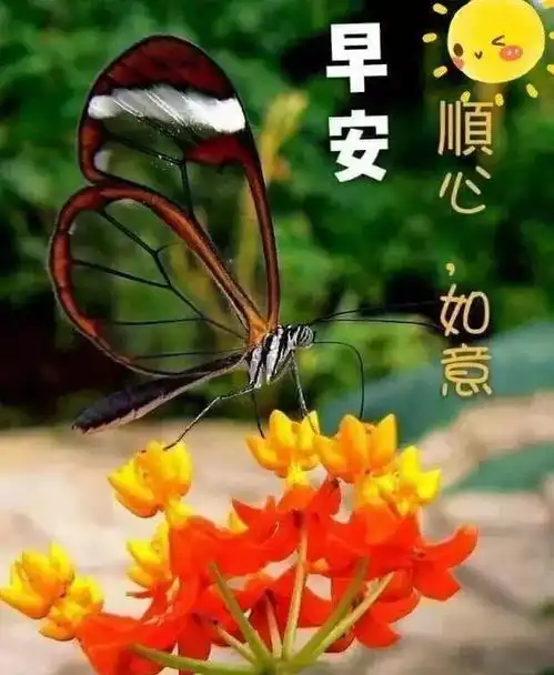 人生,是一场跋涉,路难事难做人难,早安