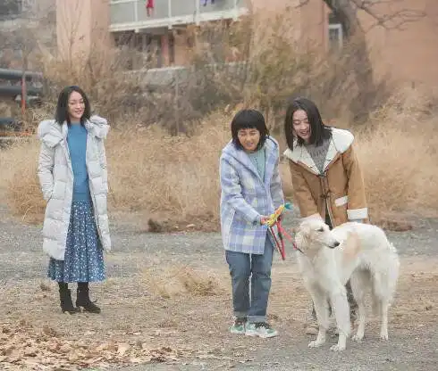 测试一个超长简介的文章