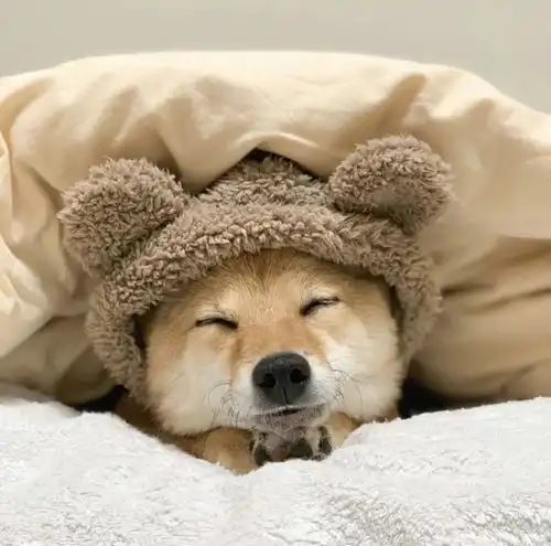 六个小妙招,头发变长不是梦