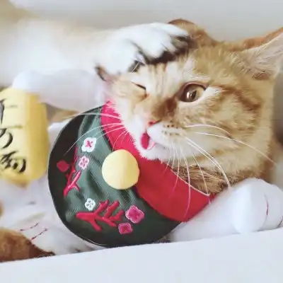 高颜值猫狗情侣头像1