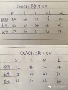 coach2018春季新款情侣款印花t恤邀您品鉴