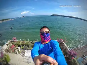 涠洲岛波罗的海客栈,再遇海凤凰