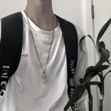 测试一个超长简介的文章