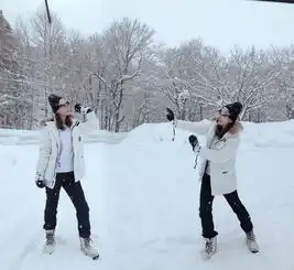 2019冬日本追梦温泉小众游冰天雪地玩冰瀑面朝大海赏早樱