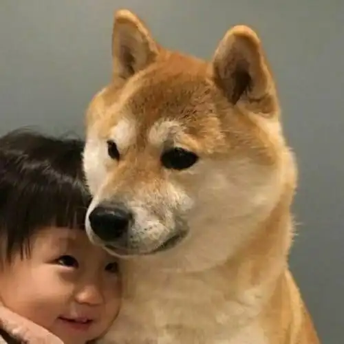 萌娃头像三零六期