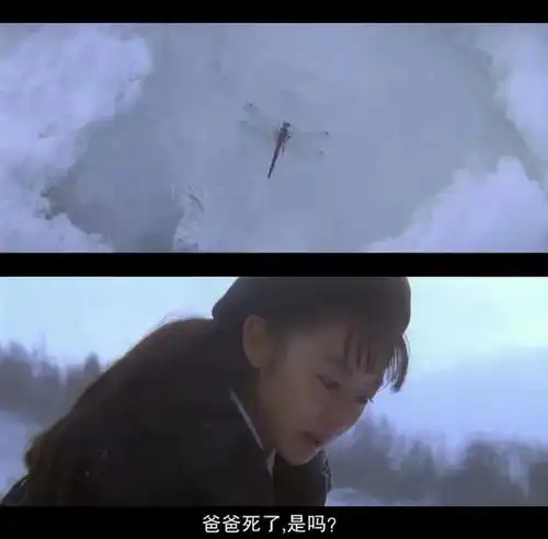 情书26年后重映首日人一生最该看透,这3个情感真相