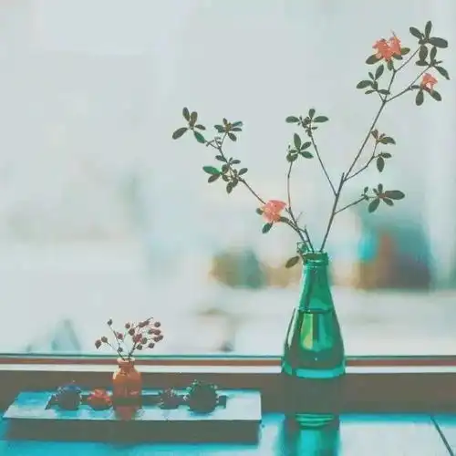 测试一个超长简介的文章