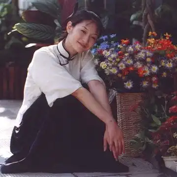 海边的树的相册