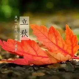 2018最新立秋祝福语短信大全立秋问候图片