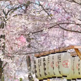 京都金阁寺攻略金阁寺门票价格多少钱团购票价预定优惠景点地址图片
