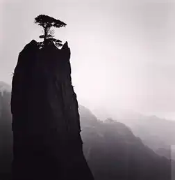 歪果仁比张艺谋更懂水墨中国