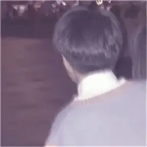 测试一个超长简介的文章