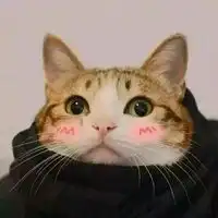 微博小猪情侣头像一左一右微信头像图片大全