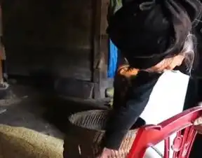 为何越来越多越南女性选择到中国工作身材苗条长得白,老板喜欢