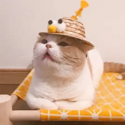 带字qq情侣头像
