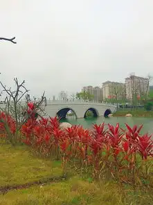 禅意圣地新兴县惠能广场以男生的角度看风景