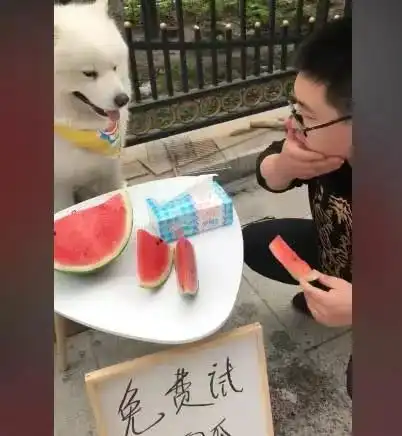 摩耶出来摆摊卖西瓜,男子试吃完看到纸巾上的字这不是坑人吗