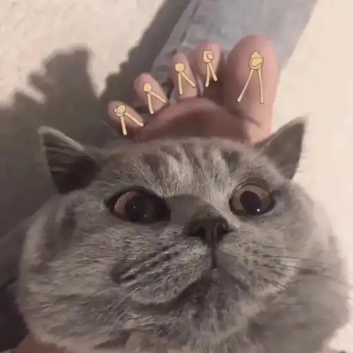 干货篇分享一波超有爱的头像拒绝烂大街