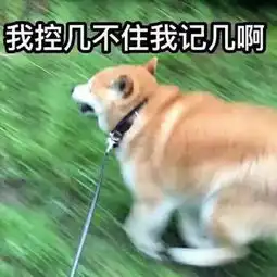 情侣头像玩对了,老师看到也当没看到,学生情侣还不安排一下