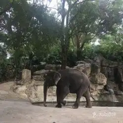 电话,地址,价格,营业时间深圳周边游