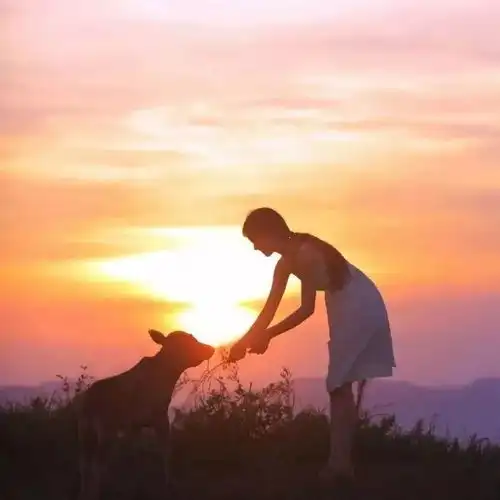 头像世事一场大梦想与你浪费春秋