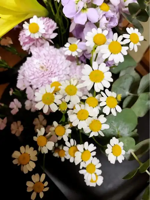 不止做配花一捧洋甘菊花束,友情爱情无限延续