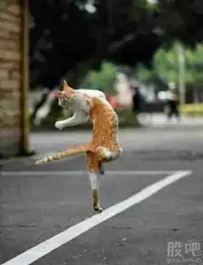 目前全球能数得着的伟大企业制定标准如,微软,lntellbm美国