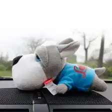 碳包狗