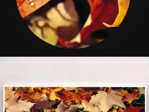秋季金色枫叶落叶露珠风景床头画图片设计素材高清模板下载13.92mb植物花卉无框画大全