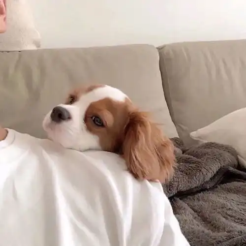 都忘了咱俩多久没说话了,也快忘了当初为什么有那么多话跟你说风筝