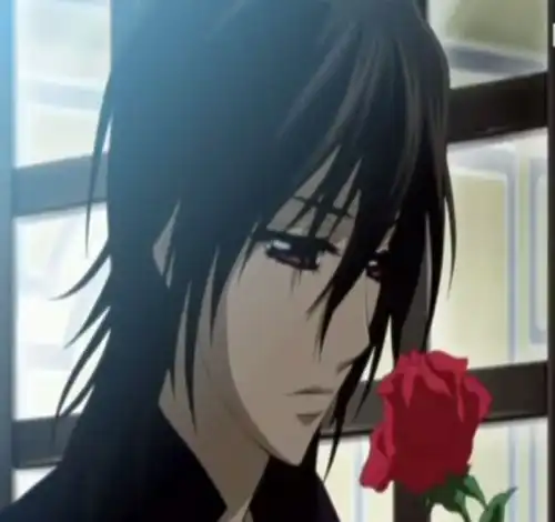 求吸血鬼骑士的图片