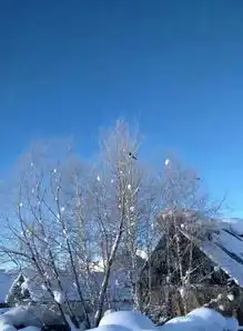 如果你想暂时远离城市的喧嚣,就请来冰雪世界喀纳斯吧