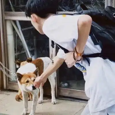 测试一个超长简介的文章
