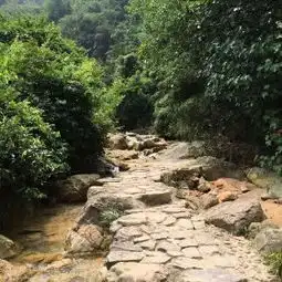 南海湾森林生态园门票,佛山南海湾森林生态园攻略地址图片门票价格