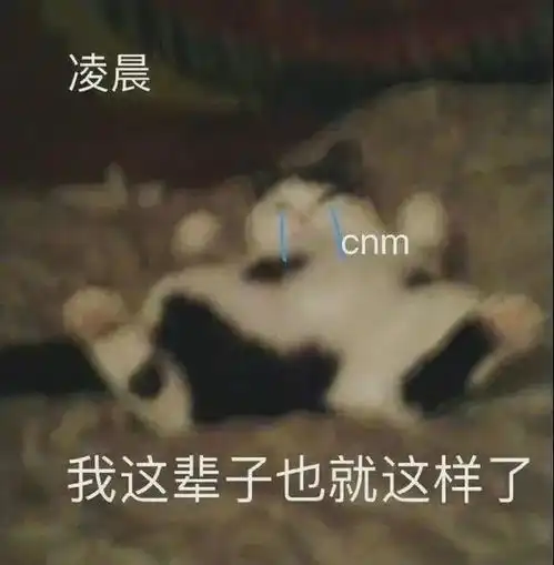 男生究竟有多在意身高网友评论人间真实哈哈哈