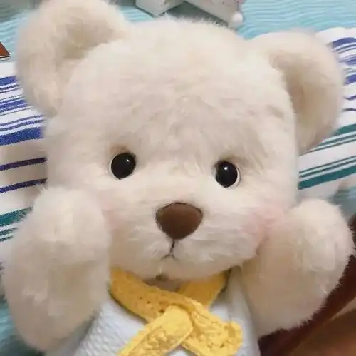 测试一个超长简介的文章