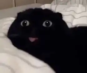 这波追星,可以说是非常回忆杀了