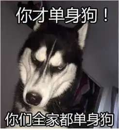 情人节明星虐起狗来,那只能叫屠狗