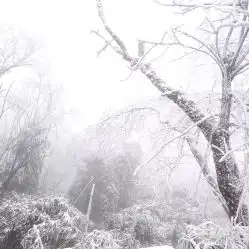 电话,地址,价格,营业时间南川区周边游